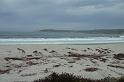 Carmel 10-30-08 236